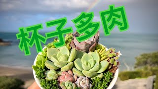 無孔變有孔的杯子多肉喔🌵薇薇安的多肉花園