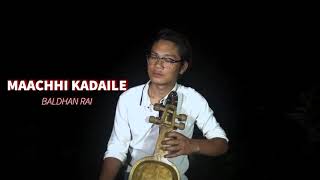 Machhi kadaile || माछि काडैले || Cover song || Baldhan Rai