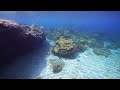 【宮古島】中の島ビーチでシュノーケル 4k動画 snorkeling on miyakoisland