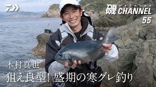 木村真也「狙え良型！ 盛期の寒グレ釣り」の巻 ｜第五十五回　磯ちゃんねる