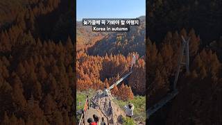 가을에 인생사진 찍을 수 있는 여행지 11월 국내여행지 | Korea travel in autumn