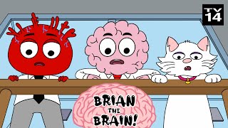 Brian The Brain - Concept Trailer