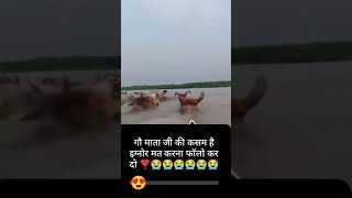 #ગૌમાતા પાણીમાં તરવા લાગી #cow #viralvideos #kankrejcow #popular #animals