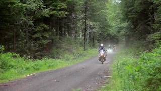 AltRider Hoh Rainforest Ride