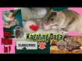 Paano kapag nakagat ng daga | May Rabies ba ang daga || Mommy Christine YT