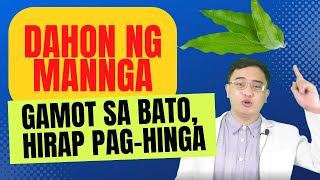 DAHON NG MANGGA, GAMOT SA BATO, SA KIDNEY HIRAP SA PAGHINGA?