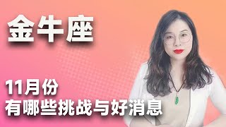 金牛座11月有什么挑战与好消息？