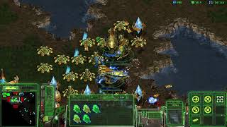 1 Protoss vs 7 Random Computers