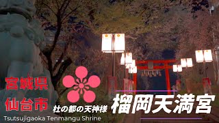 夜桜満開「榴岡天満宮」宮城県仙台市 Cherry blossoms in full bloom \