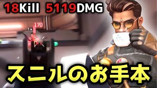 スニルを使った立ち回りのお手本 18Kill 5119DMG【ファーライト84】