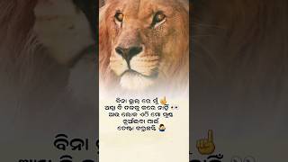 ବିନା ଭୁଲରେ ଆପଣମାନେ ବି........#irischahal