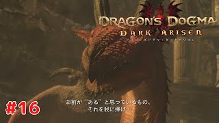 【ドラゴンズドグマ：ダークアリズン】 #16 PS4版 プレイ動画 4K 【DRAGON'S DOGMA : DARK ARISEN】