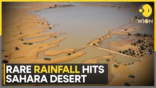 Sahara Desert Witness First Floods In 50 Years | World News | WION