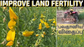 Improve Soil Fertility | பலதானியம் விதைப்பு | Multigrain sowing #farming #agriculture #soilfertility