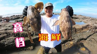 花240元买猪肺猪头骨投300平巨无霸坑，擒获成双成对高档货，发财了