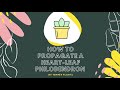 how to propagate philodendron brasil in water heartleaf philodendron philodendron hederaceum