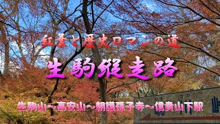 生駒山　生駒縦走路を歩いてきました。暗峠や十三峠など歴史とロマンに溢れたコースで紅葉も真っ盛りで絶景を堪能した山旅でした。