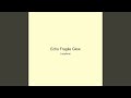 Echo Fragile Glow