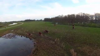 Natuur in Hardenberg