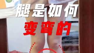 腿是如何变弯的