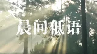 青苔隐山涧，晨曦穿林间，一曲《晨间低语》舒缓恬静，治愈心灵。音乐 治愈系 天籁之音纯音乐 静谧时光 唯美意境