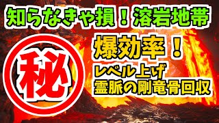 Lv.7にすぐ到達！？爆効率の㊙レベル上げ方法！霊脈の剛竜骨もザックザク！！（11/7アップデートでサイレント修正済み）【MHWIB】