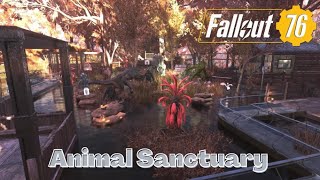 Fallout 76 Camp Build : Animal Sanctuary