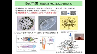 生物進化2回2022秋真核生物 edit