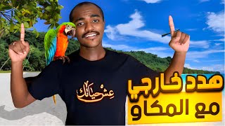 هدد خارجي  على الشاطئ🏖️🌊