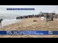 National Aquarium Releases Rescued Seal Sally Ride In Ocean City