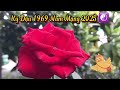 sự thật kỳ lạ tử vi 2025 kỷ dậu 1969 nam mạng thời vận Đổi Đời liên tục trúng lớn tiền về như nước