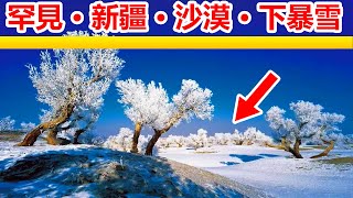 罕見！塔克拉瑪干沙漠下暴雪了🔴！新疆塔克拉瑪干沙漠迎來了入冬以來最強降雪天氣，🔴塔克拉瑪干沙漠已被雪雲覆蓋！冰與雪的世界。新疆棉花，歷經千年的唐代棉花仍然潔白如雪。