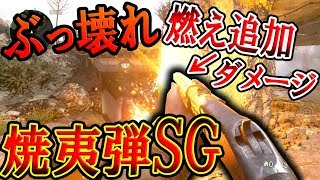 【CoD:WW2】今作のぶっ壊れ!! 焼夷弾 SG!! 『ピュリファイアー同様 燃えダメージが!!』【実況者ジャンヌ】