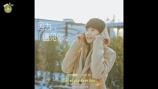 【KiwiAloe】【Vietsub+Kara/Audio】 TFBOYS Vương Nguyên - Bởi vì gặp được bạn