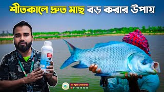 শীতকালে দ্রুত মাছ বড় করার উপায় || growing fish in short time || পাওয়ার ফিশ জেল