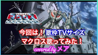 歌枠TVサイズ！ オープニングテーマ アニメ超時空要塞マクロス【マクロス】歌ってみた