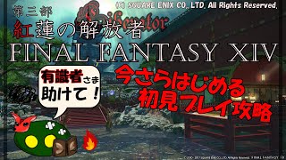 今さら始めるファイナルファンタジー14!!!【有識者パイセン方、助けて!!】