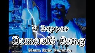 Damauli Gang / B Rapper (Official Song )