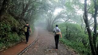 陽明山大縱走西段...二子坪~面天山~向天山~大屯西峰~大屯南峰~大屯山!