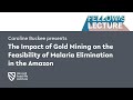 The Impact of Gold Mining on the Feasibility of Malaria Elimination in the Amazon || Radcliffe