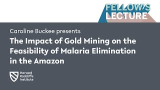 The Impact of Gold Mining on the Feasibility of Malaria Elimination in the Amazon || Radcliffe