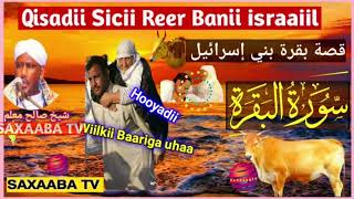 qisadii Sicii reer banii Israaiil iyo wiilkii.               #qiso #shiikh Saalax #asadhagio#