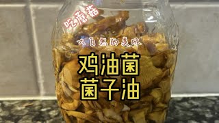 炸菌子油！家门口的鸡油菌！