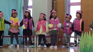 3Y7M(幸) 日本幼稚園生活發表會預演_大合唱