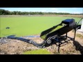 Duckweed Skimmer with Proskim