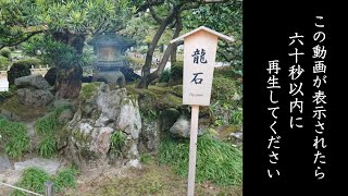 ※衝撃映像【神籠石】※本当の龍巨石を見た時「奇跡連発の神恩が目の当たりとなる」