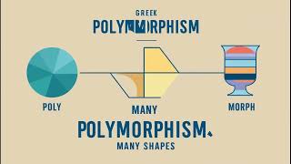 Polymorphism in Python: The Ultimate Game-Changer for Coders #videos #video #ytvideo #polymorphism