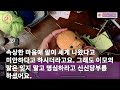 사연열차치과의사 남편과 결혼하고 시모가 생활비 보내달라며 고함을 지르는데 내 아들 월급 내가 쓰겠다는데 그 순간 이모가 이름묻자 역대급 반전 상황에 시모 쫓겨나는데 실