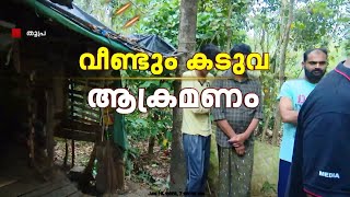 വയനാട് അമരക്കുനിയിൽ തുടർച്ചയായ മൂന്നാം ദിവസവും കടുവയുടെ ആക്രമണം