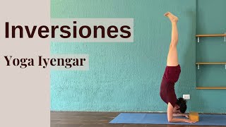 Clase de Yoga Iyengar Multinivel - Fundamentos de Inversiones y Pincha Mayurasana 🦚